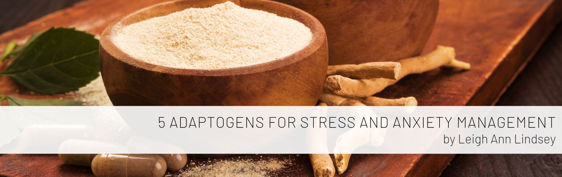 5 Adaptogens for Stress and Anxiety Management by Leigh Ann Lindsey